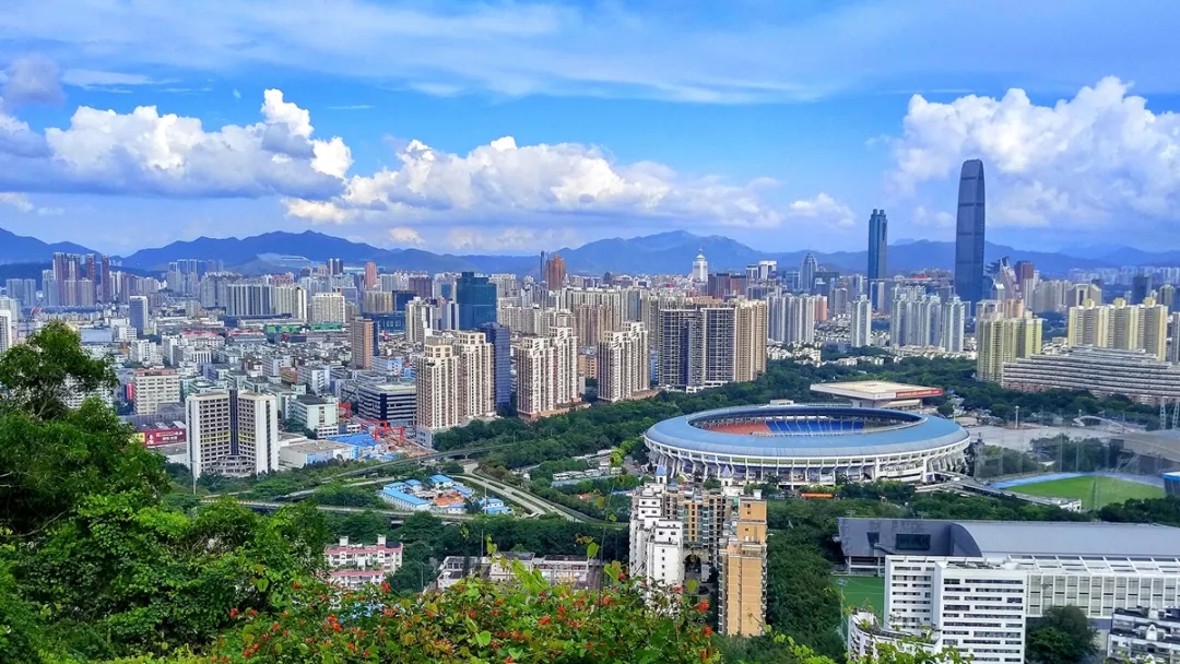 王牌智库||2019开年笔谈②｜改革开放40年，深圳做对了什么？