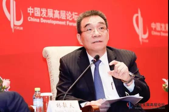 中国发展高层论坛上的观点与声音
