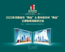 【第228期】2023年河南省市“两会”&贵州省市州“两会”王牌智库观察研讨会