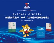 【第270期】凝心聚力谋项目  献言献策开新局 王牌智库如何以“三书”为介拓新项目开发研讨会