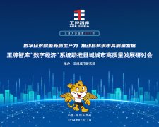 【第271期】数字经济赋能新质生产力 推动县域城市高质量发展 王牌智库“数字经济”系统助推县域城市高质量发展研讨会