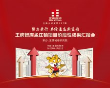【第287期】聚力前行 共绘孟庄新蓝图 王牌智库孟庄镇项目阶段性成果汇报会