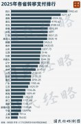 10万亿中央转移支付，都被谁拿走了？
