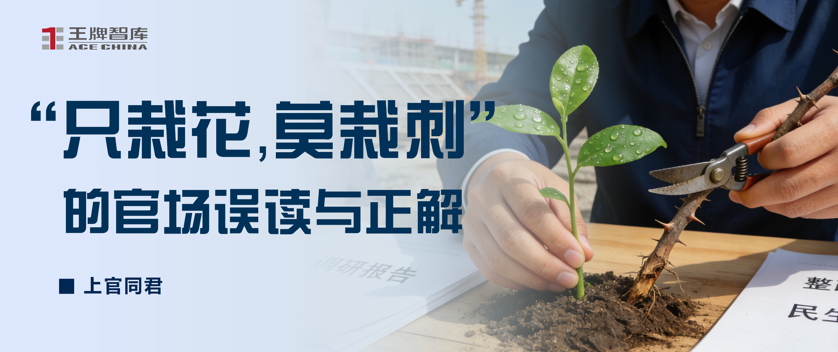 “只栽花，莫栽刺”的官场误读与正解