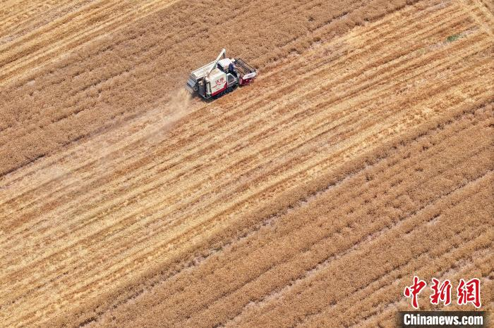 习近平笑着说：“小龙虾发展起来，搞成了大产业”