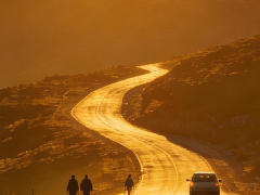 新华社：对不作为的干部，坚决果断调下去，不让那些做样子、混日子、要位子的“官油子”得势得利